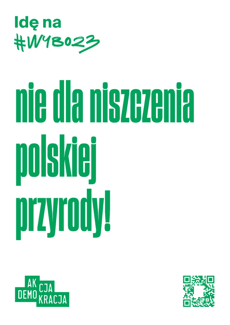Akcja Wybory