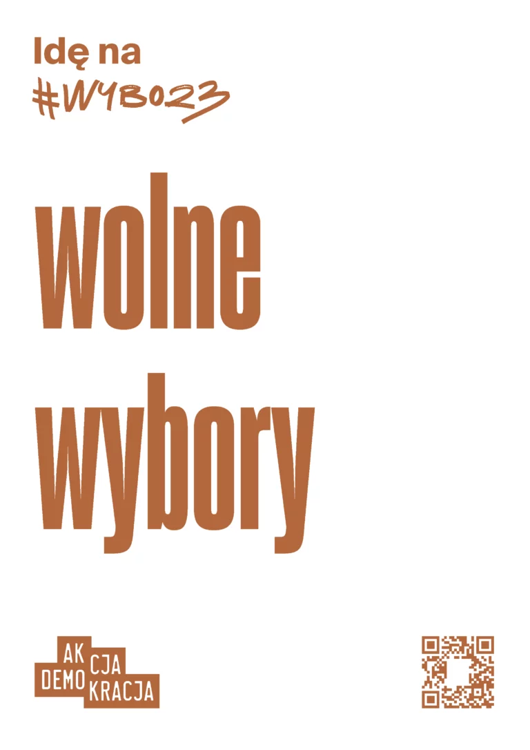 Akcja Wybory