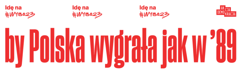 Akcja Wybory