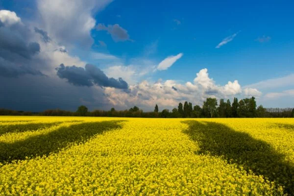 Hезалежна Україна, сильна незалежною енергією.