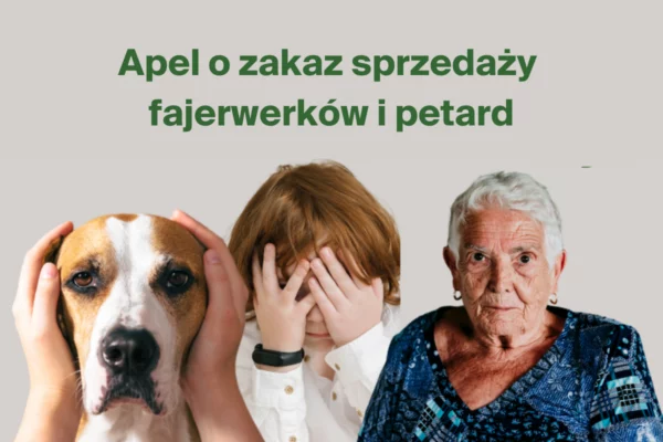 Apel o zakaz sprzedaży fajerwerków i petard