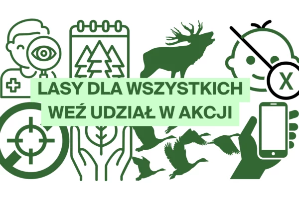 Lasy dla wszystkich: nagraj telefonem krótkie wideo!