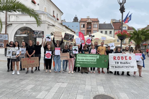 Protest przeciwko rodeo w Gliwicach