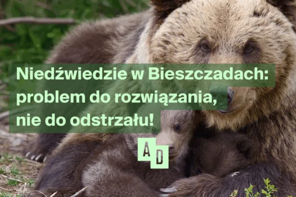 Ratujmy bieszczadzkie niedźwiedzie!