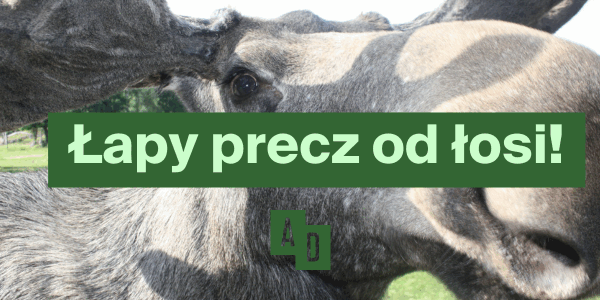 Łapy precz od łosi!