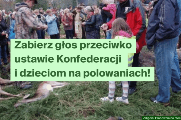 Konfederacja chce znieść ochronę dzieci - bierzemy udział w konsultacjach ustawy!