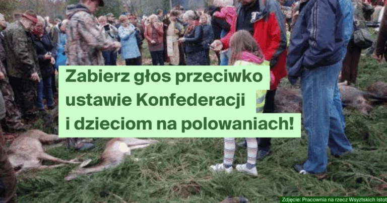 Konfederacja chce znieść ochronę dzieci – bierzemy udział w konsultacjach ustawy!