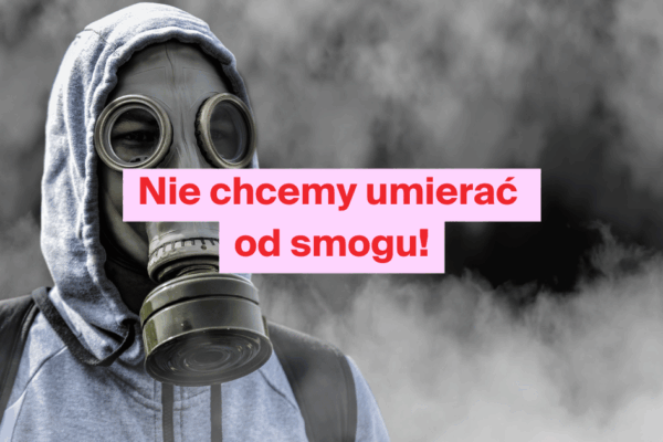 Domagamy się kontroli przestrzegania przepisów antysmogowych w Polsce!