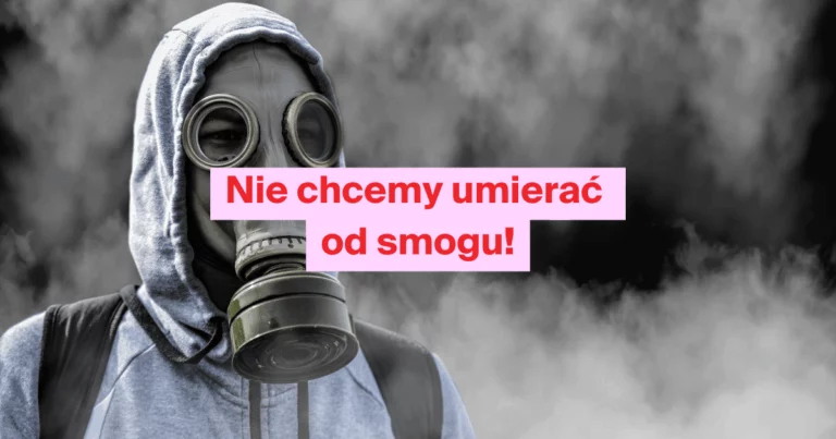 Domagamy się kontroli przestrzegania przepisów antysmogowych w Polsce!