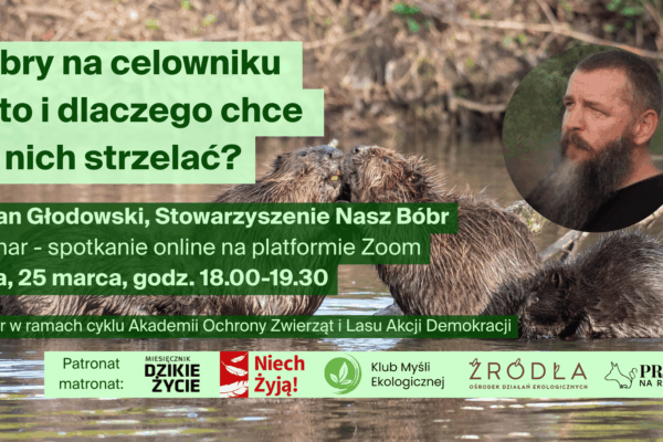 Zapraszamy na webinar: 