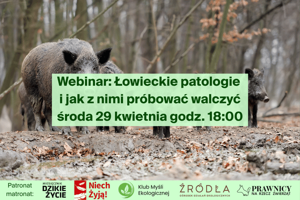 Łowieckie patologie i jak z nimi próbować walczyć