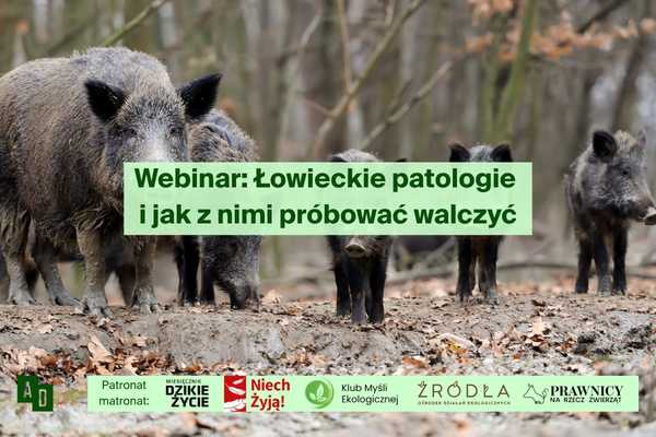 Zapraszamy na webinar: Łowieckie patologie i jak z nimi próbować walczyć