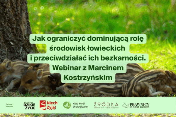 Zapraszamy na webinar: Jak ograniczyć dominującą rolę środowisk łowieckich i przeciwdziałać ich bezkarności.