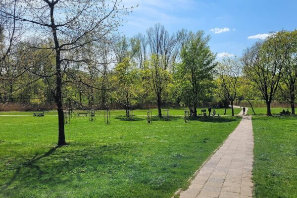 Chrońmy zabytkowy park na Kamionku. Apel Marcela na Naszej Demokracji