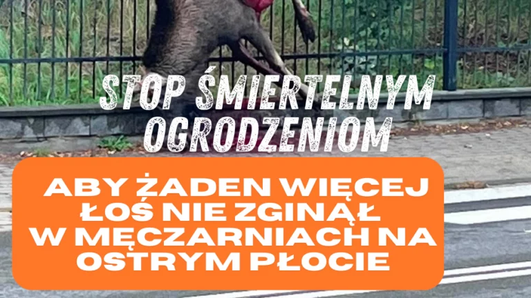 Stop śmiertelnym płotom w gminie Konstancin-Jeziorna!