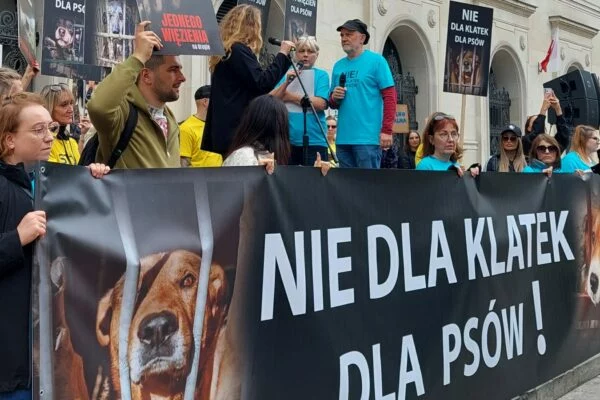Protest „Nie dla klatek dla psów” przed Ministerstwem Rolnictwa i Rozwoju Wsi w Warszawie, 4 października 2026