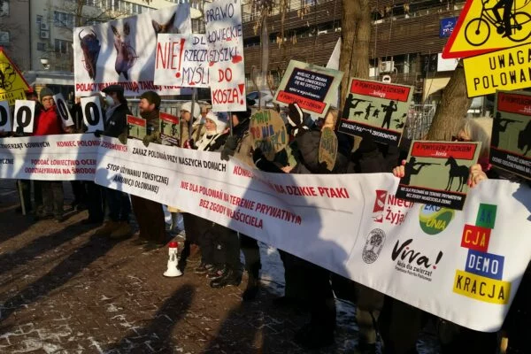 Myśliwi już wypełniają sejmowe ankiety. Poprzyj projekt „UWAGA! Polowanie” w konsultacjach do 18 października