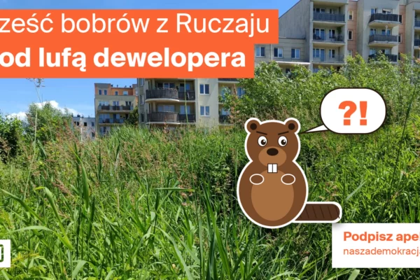 Obrazek do apelu: Sześć bobrów z Ruczaju pod lufą dewelopera. RDOŚ, nie zgadzaj się!