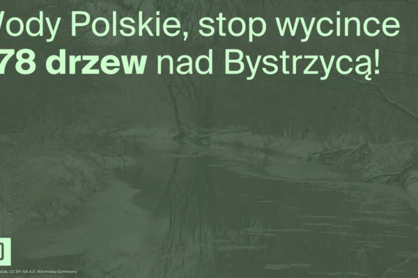 Obrazek do apelu: Wody Polskie, stop! Zostawcie dęby nad Bystrzycą