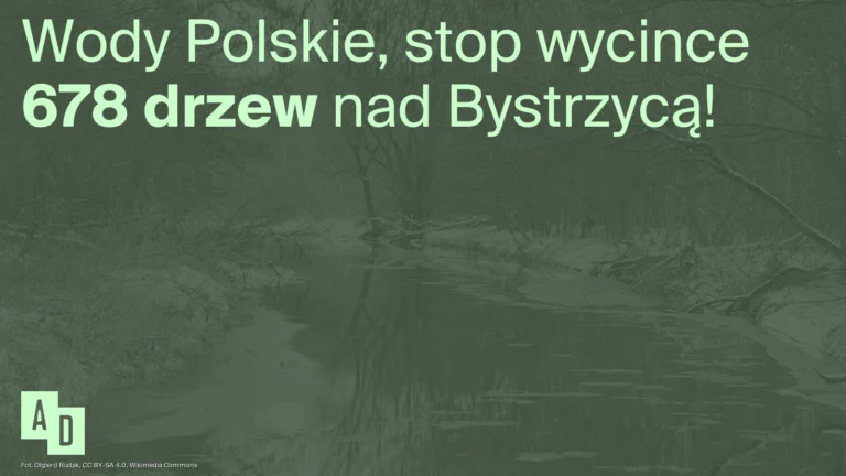 Obrazek do apelu: Wody Polskie, stop! Zostawcie dęby nad Bystrzycą